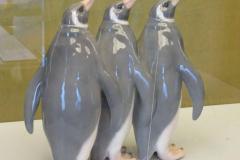 3匹のペンギン(藤川）